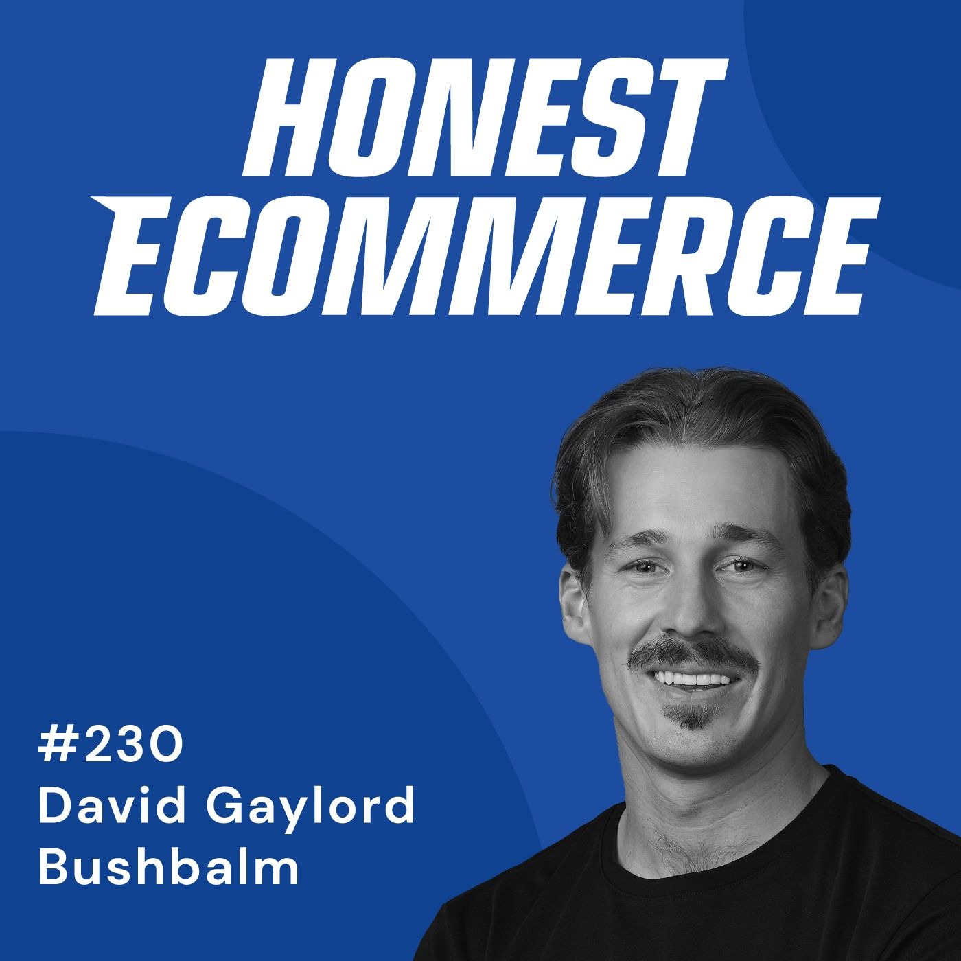Honest Ecommerce podcast episode - 230 | Don’t Be Scared of Growing Fast | with David Gaylord